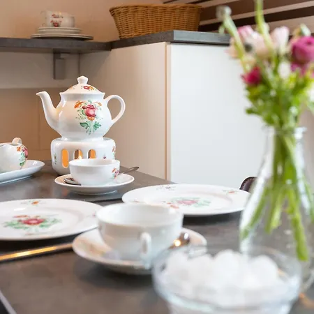 Rosenhuus Heckenrose